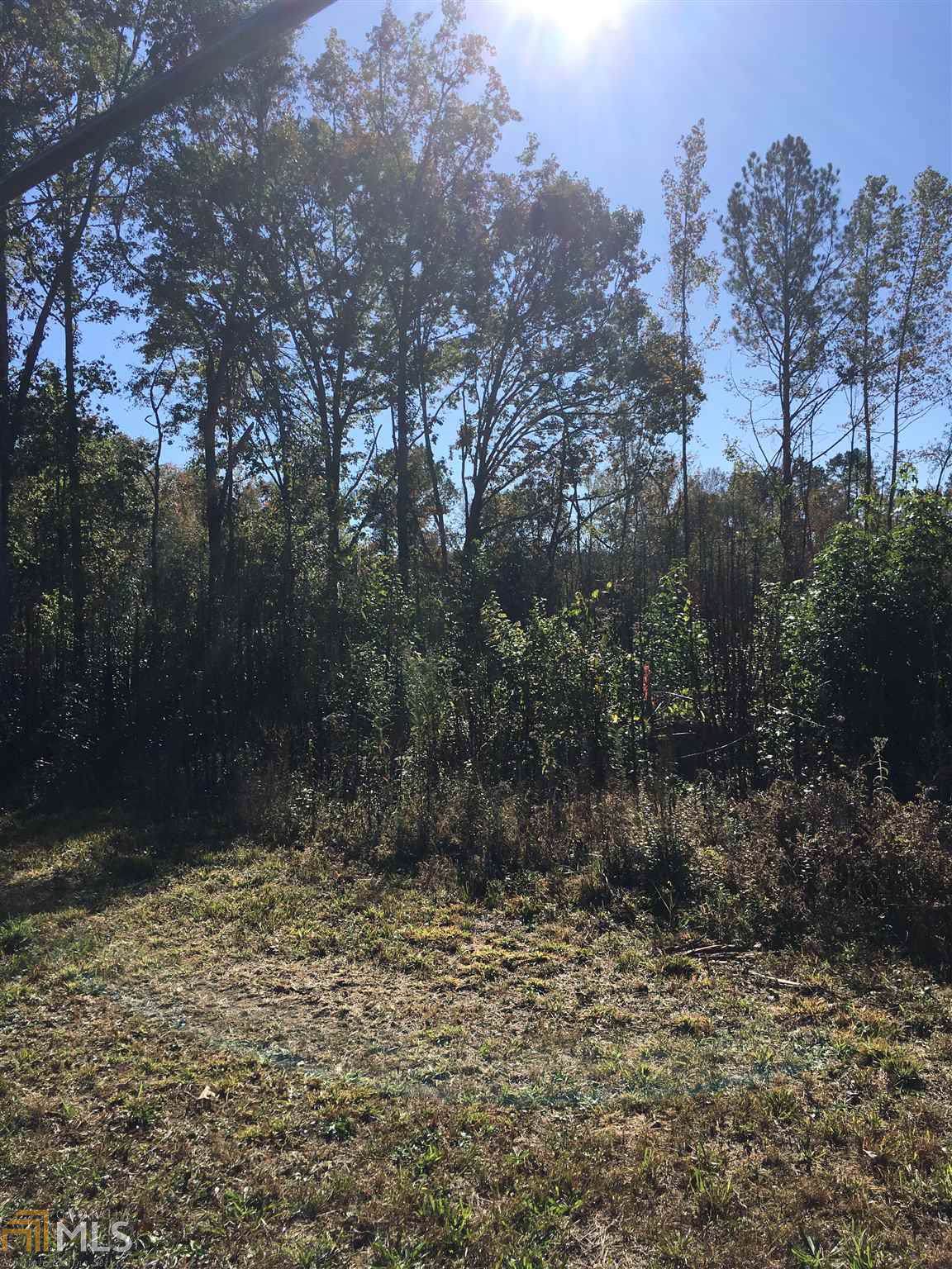 0 Us Highway 78 - Photo 1