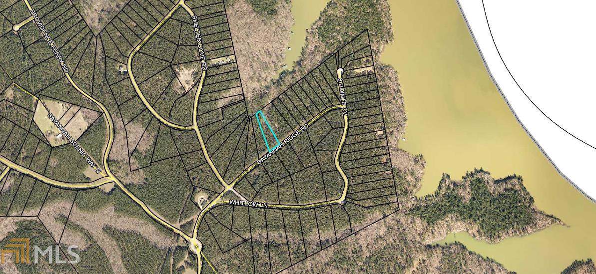 0 Savannah Ridge Rd - Photo 1