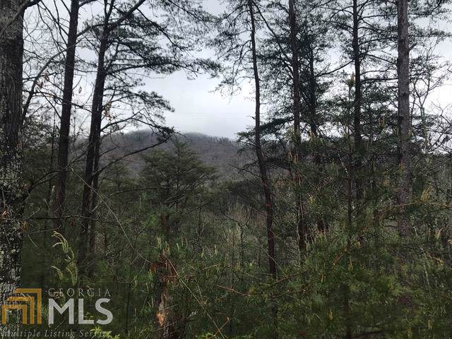 0 Laurel Creek Trl - Photo 1