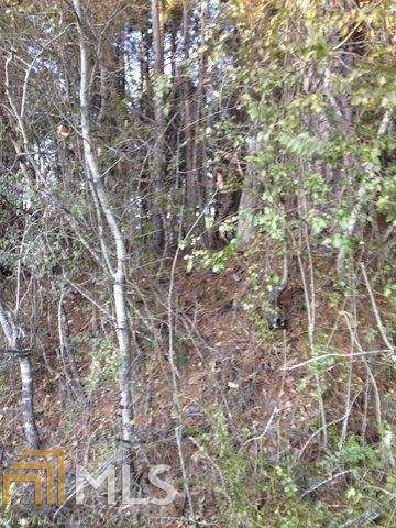 5901 Rock Springs Rd - Photo 1
