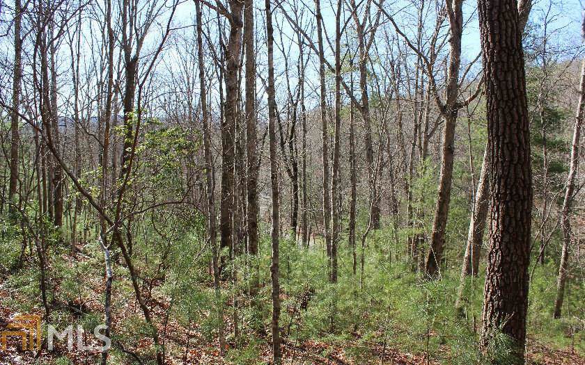 000 Peter Knob Rd - Photo 1