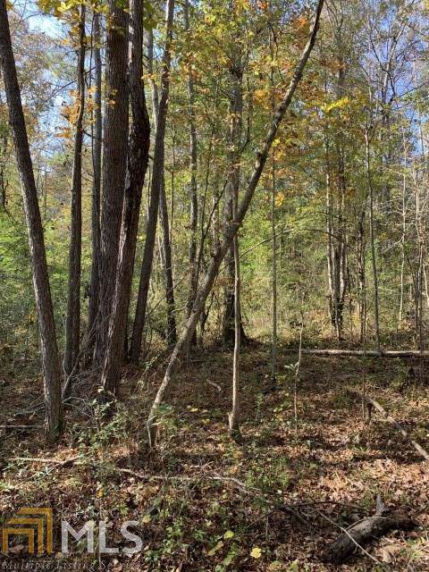 0 Old Antioch Rd - Photo 1