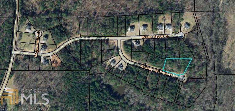 85 Grassy Springs Ct - Photo 1