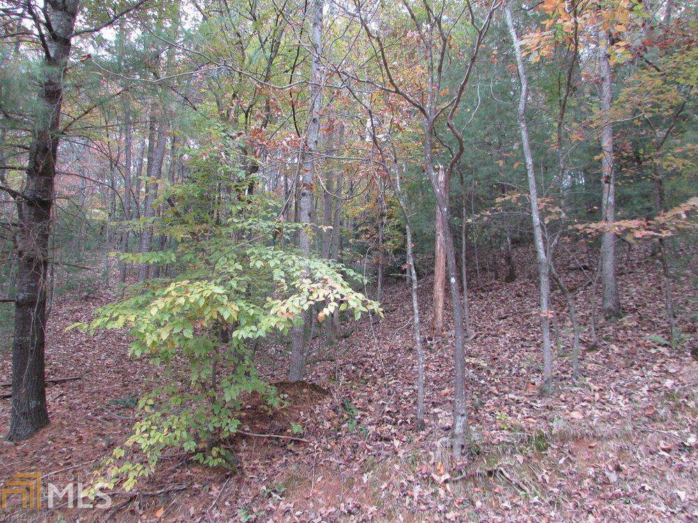 LOT 368 Summit Ln - Photo 1