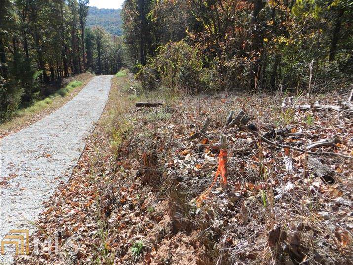 Lot 4 Deer Hollow Ln - Photo 1
