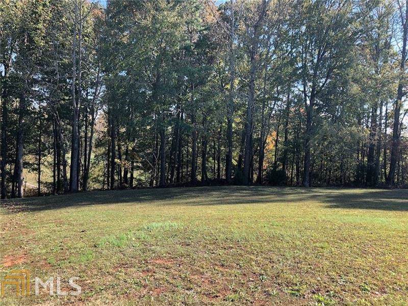 3465 River Birch Loop - Photo 1