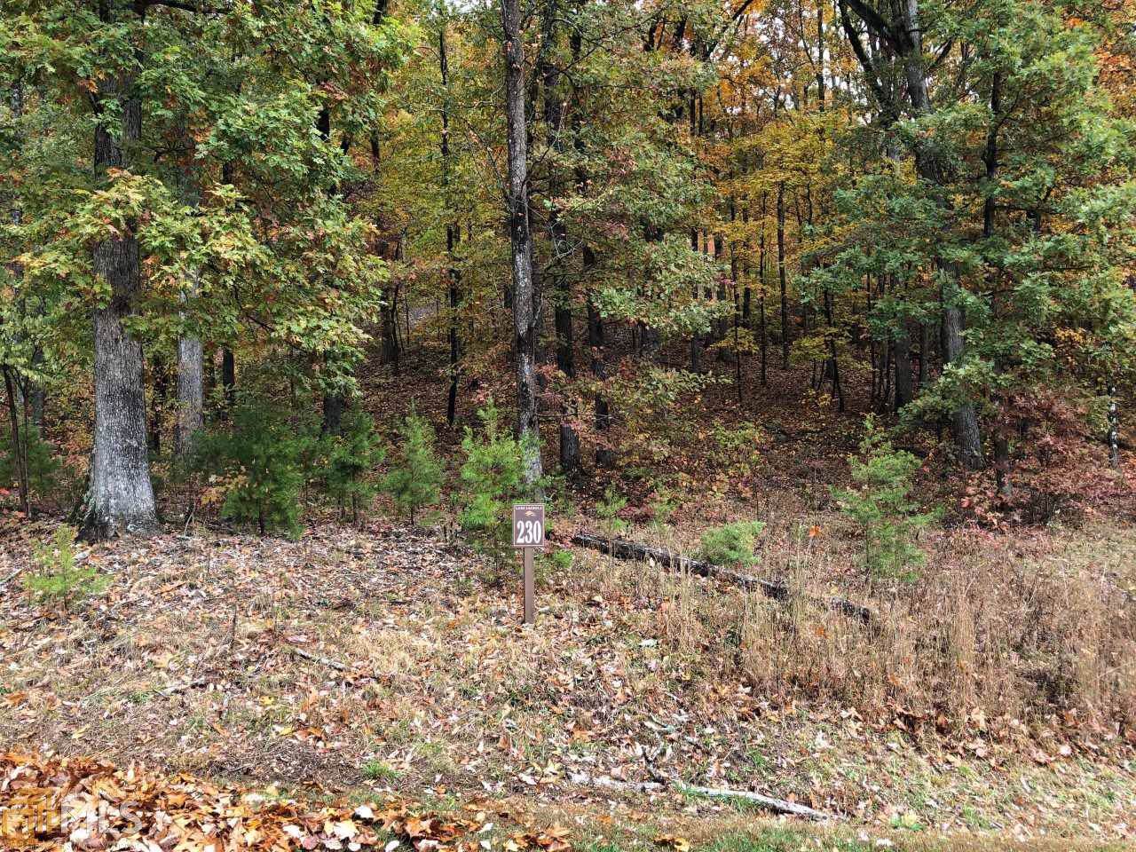 0 Mountainside Dr - Photo 1