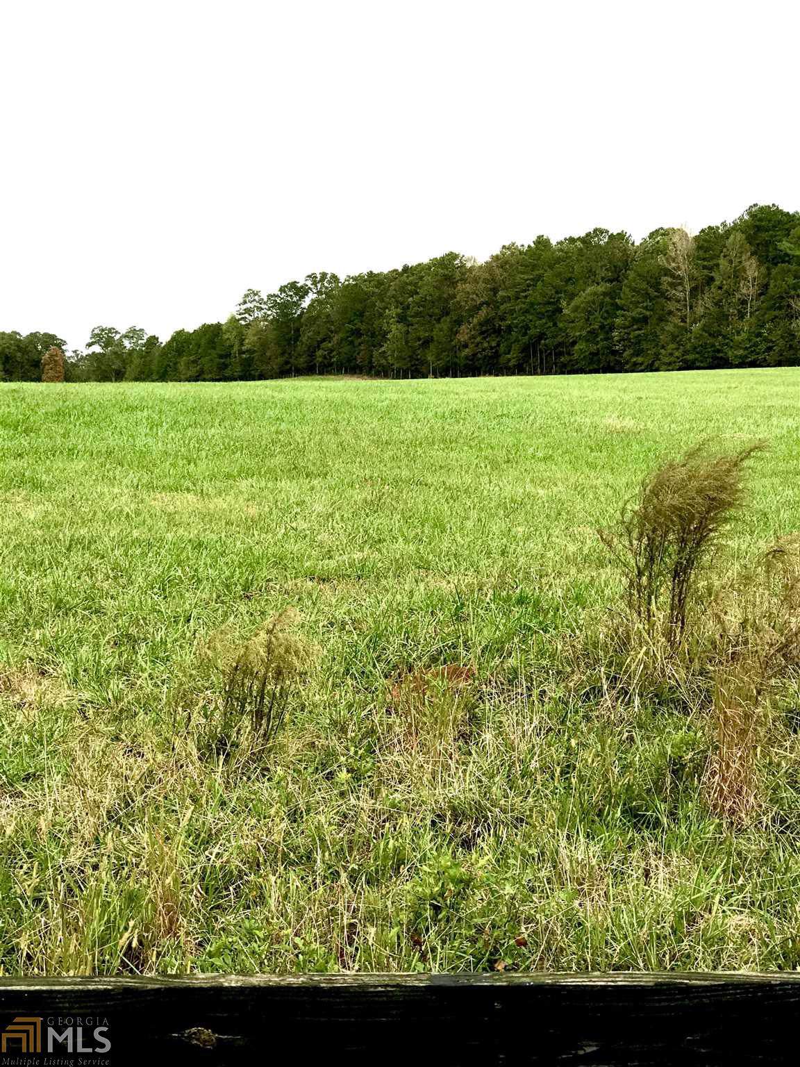 0 Elders Mill Rd - Photo 1