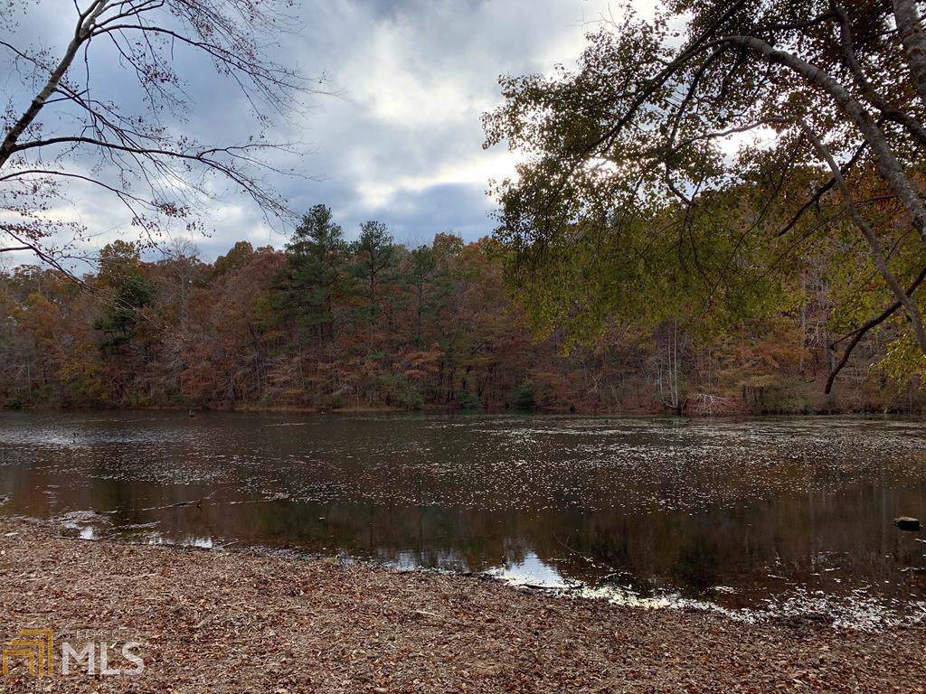 0 Raburn Lake Rd - Photo 1