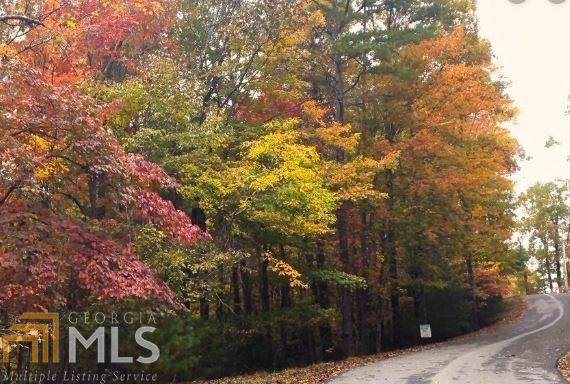 LOT 548 Satsuma Ct N - Photo 1