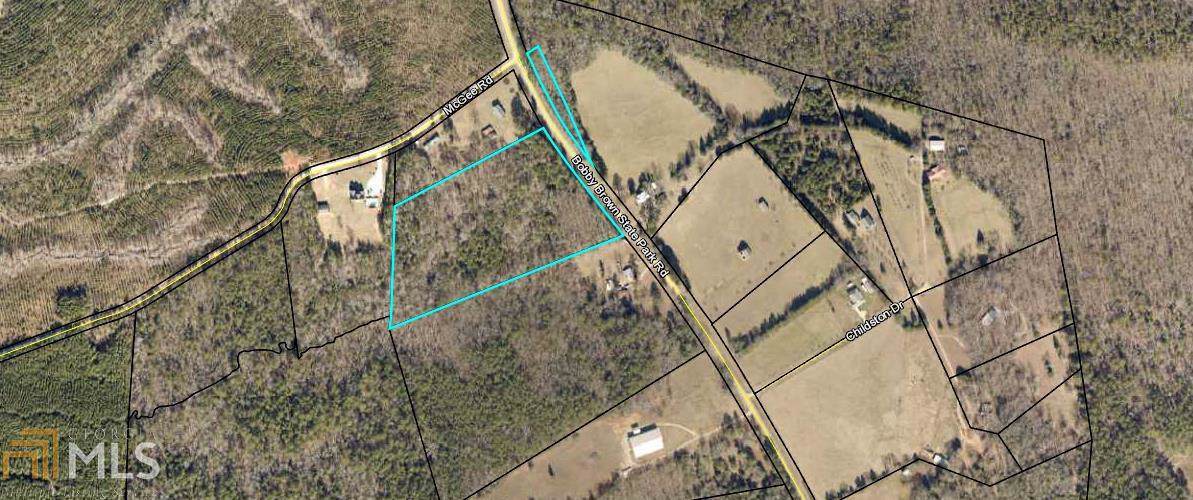 0 Bobby Brown State Park Rd - Photo 1
