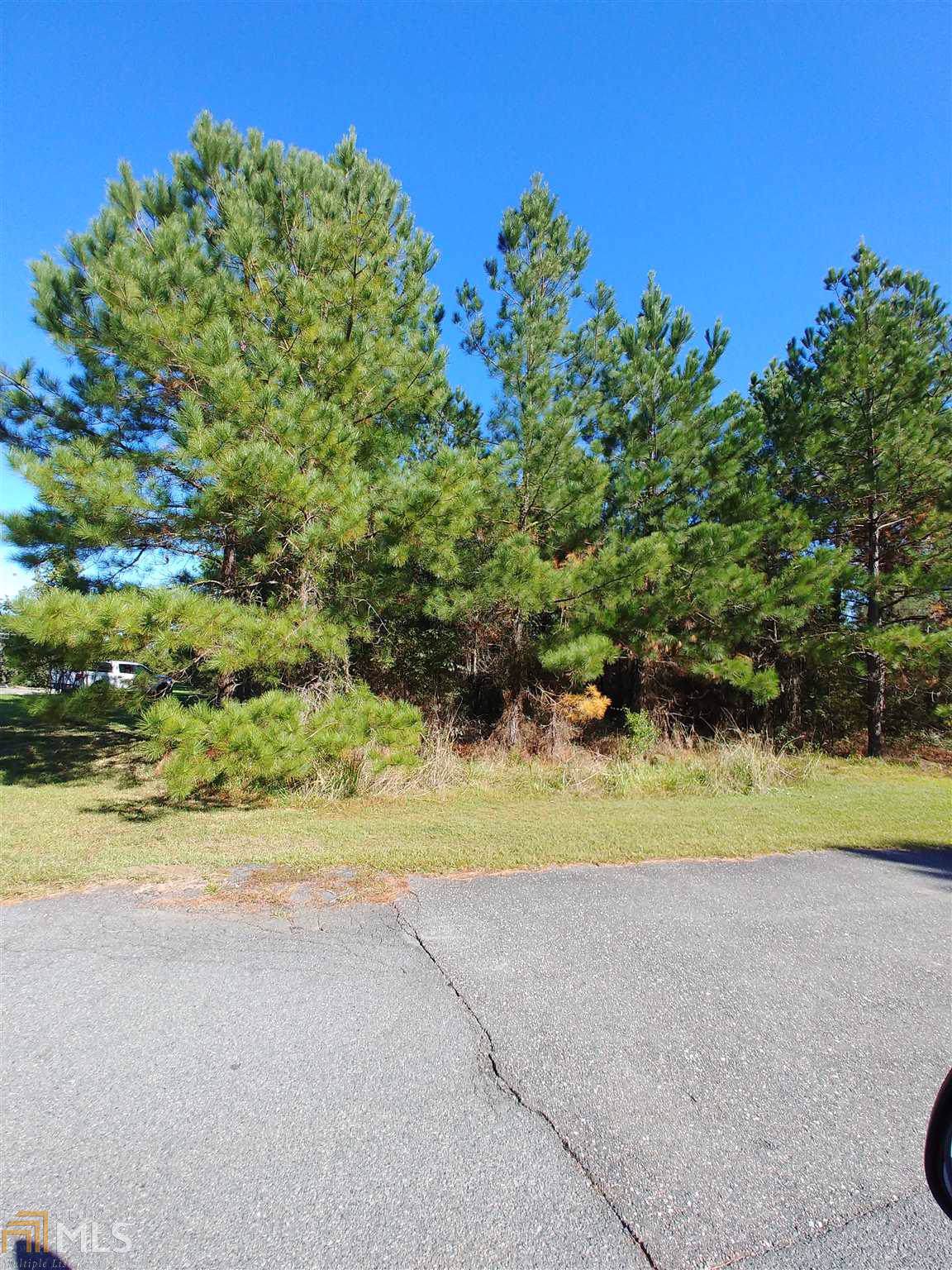 0 Buchanon Landing Dr - Photo 1
