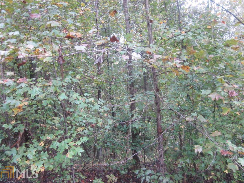 1658 Land Rd - Photo 1