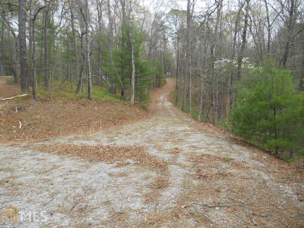0 Brenary Ln - Photo 1 0 Brenary Ln - Photo 1
