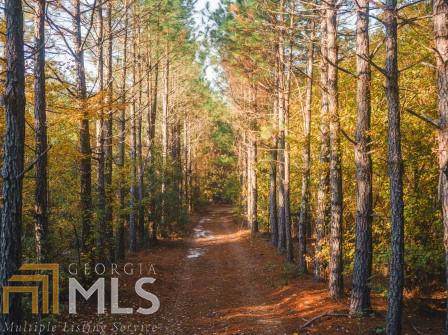 0 Halls Bridge Rd - Photo 1