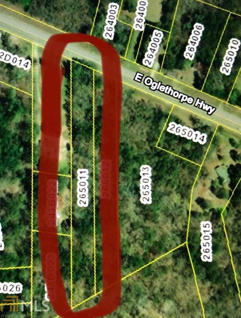 13225 Oglethorpe Hwy - Photo 1