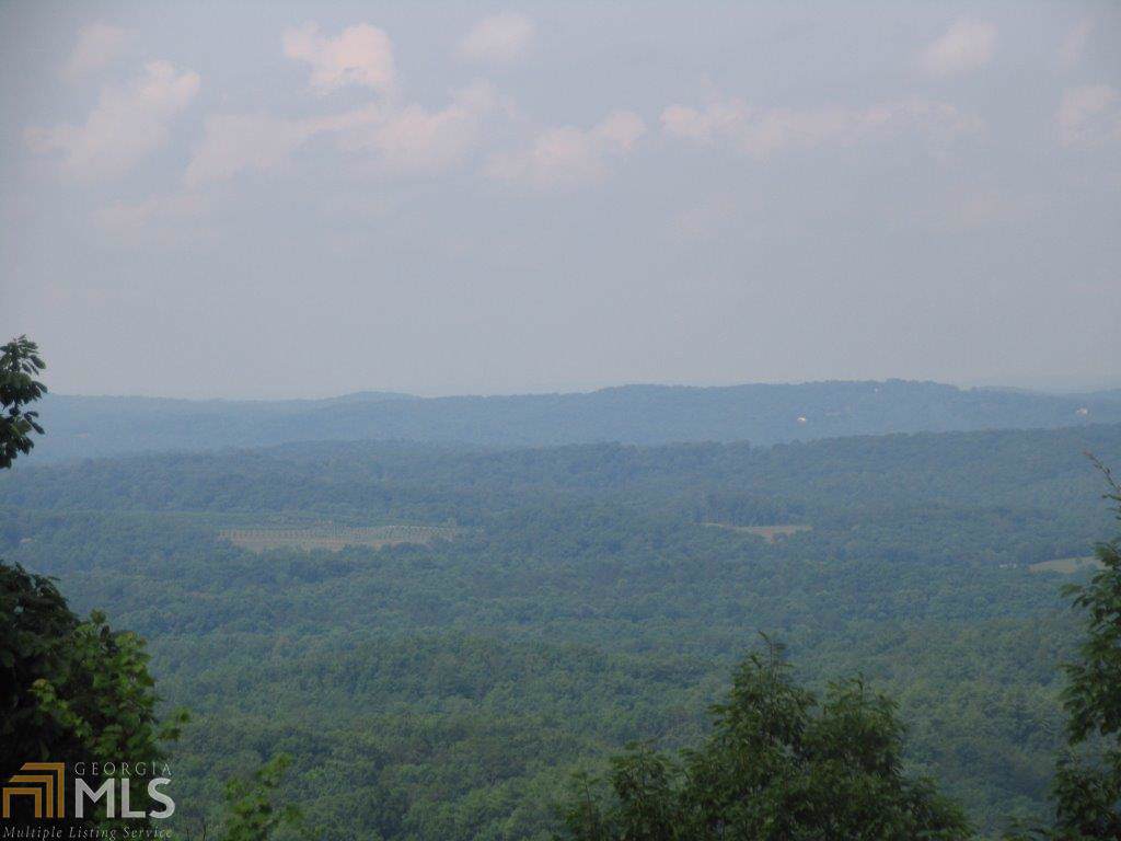 00 Buena Vista Dr - Photo 1