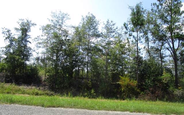 0 John S Horton Rd - Photo 1