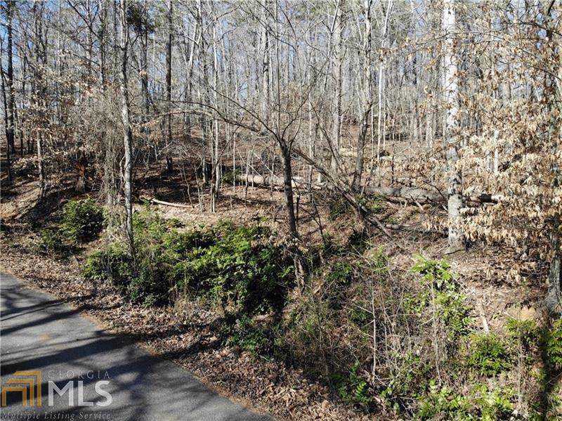 0 Chestatee Springs - Photo 1
