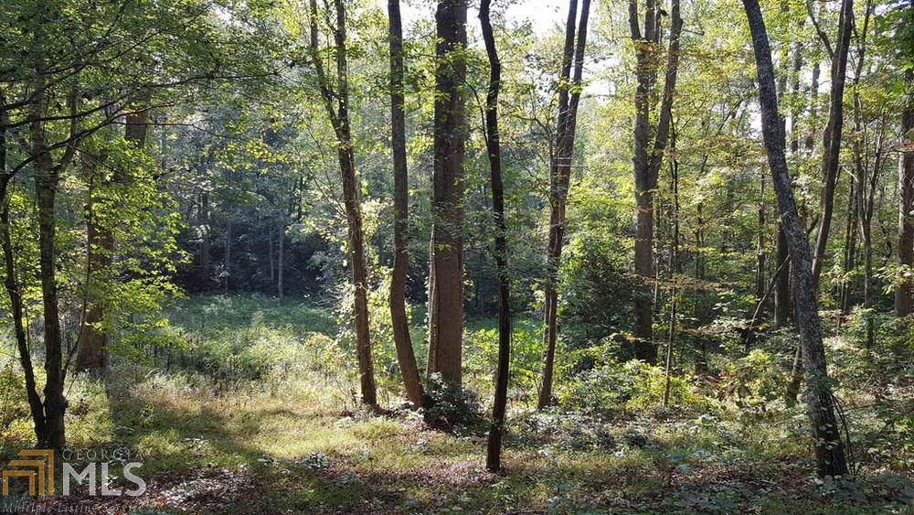0 Stuart Mountain Rd - Photo 1