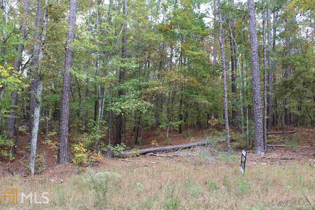 Lot 30 East Pine Dr - Photo 1