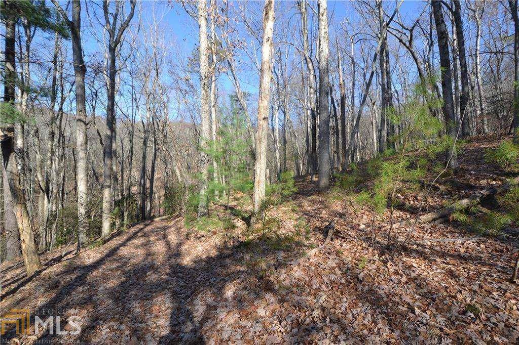 0 Blueberry Rd - Photo 1