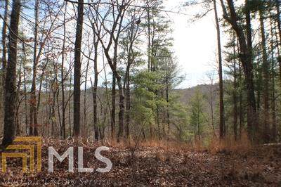 0 Tranquility Lt 113 - Photo 1