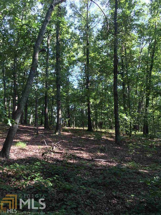 Tract 6 Mask Rd - Photo 1