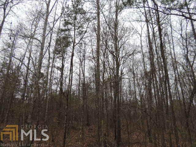 0 West Grantville Rd - Photo 1