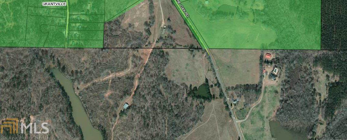 405 Lone Oak Rd /Forrest Rd - Photo 1