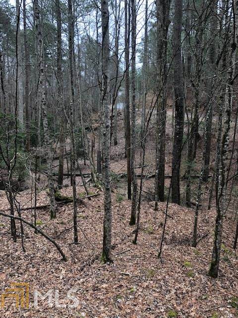0 Ruby Ln - Photo 1