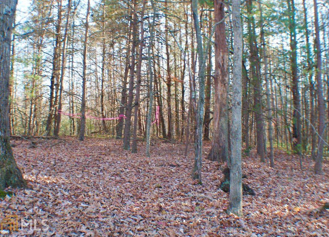 0 Quiet Ln - Photo 1
