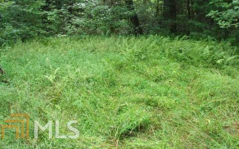 Lot 3 Chimney Mountain Rd - Photo 1 Lot 3 Chimney Mountain Rd - Photo 1