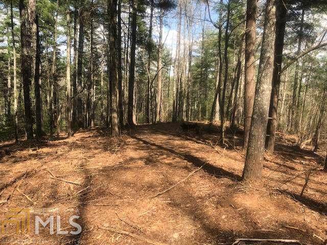 0 Hap Holt Rd - Photo 1