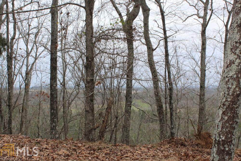 0 0A Johnson Lake Rd - Photo 1