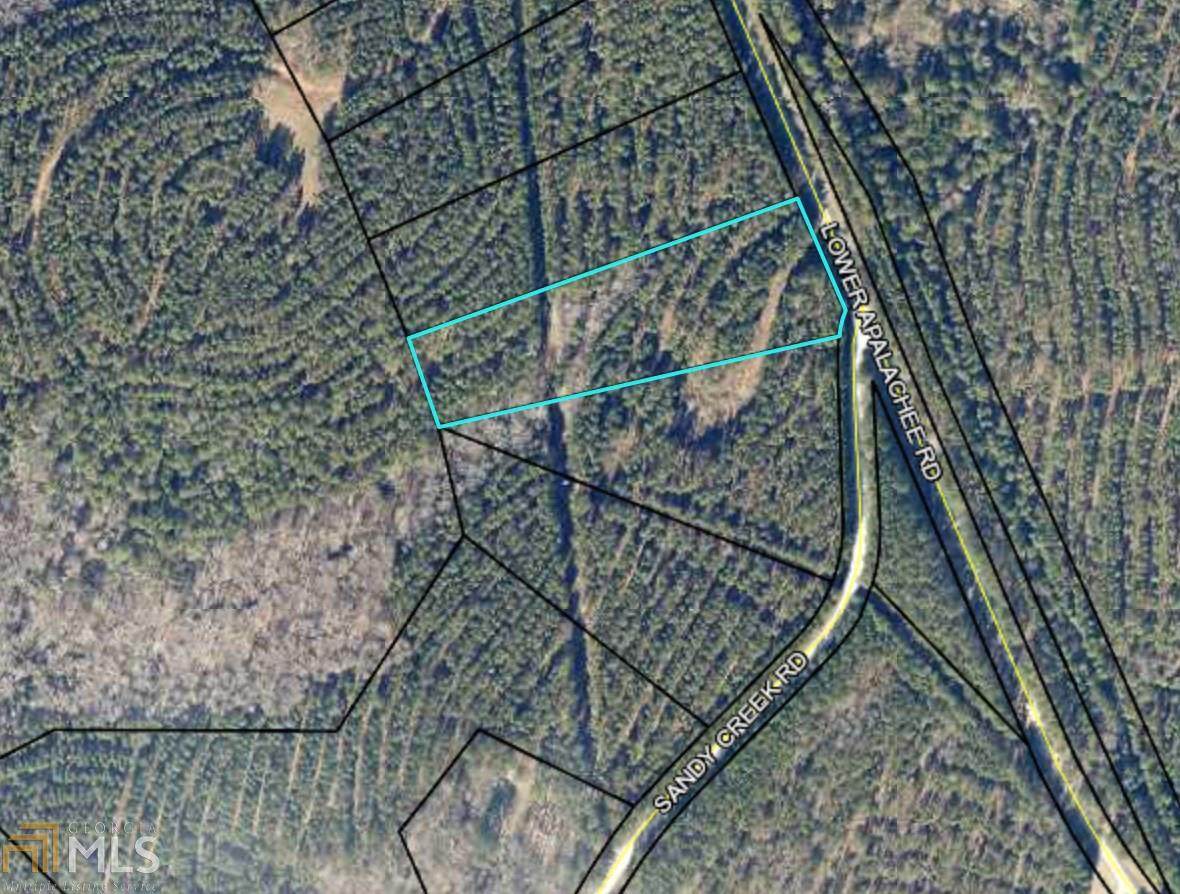 0 Lower Apalachee Rd - Photo 1