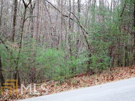 0 Blue Ridge Dr - Photo 1 0 Blue Ridge Dr - Photo 1