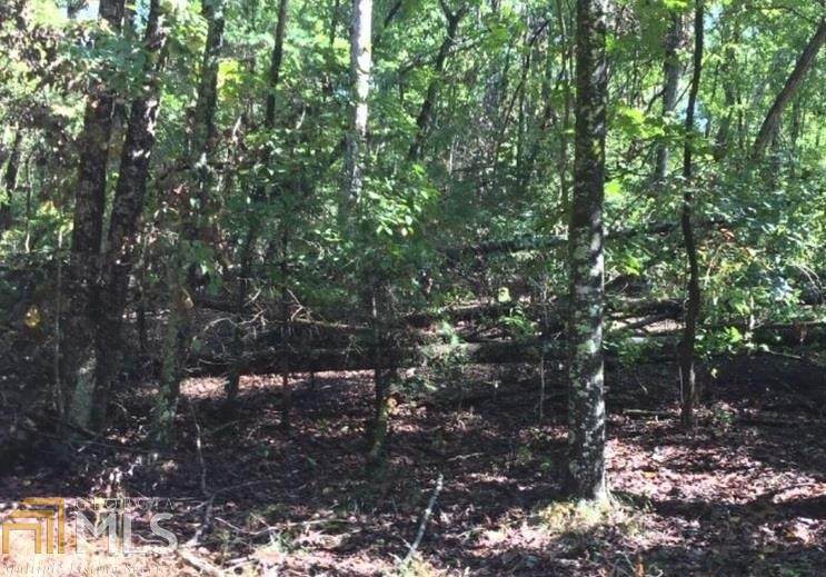 LOT 298 Etowah Drive - Photo 1