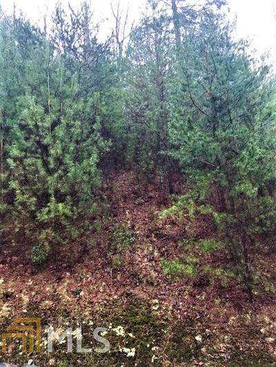 0 Settlers Ridge Rd - Photo 1