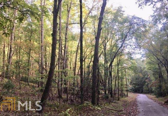 LOT 394 Walhalla Court - Photo 1