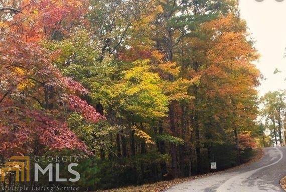 LOT 548 Satsuma Court - Photo 1