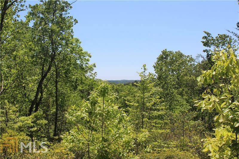 0 Owl Mountain Trail - Photo 1