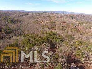 0 Pine Forest Loop - Photo 1