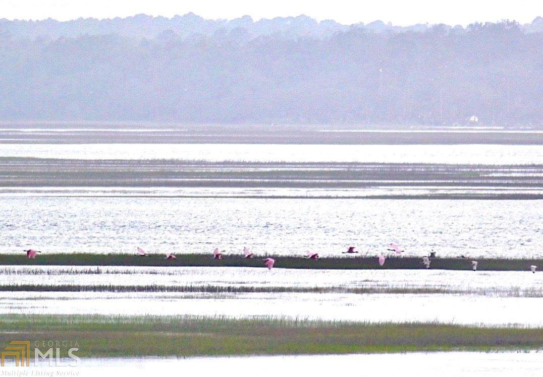0 Sand Dollar Ct - Photo 1