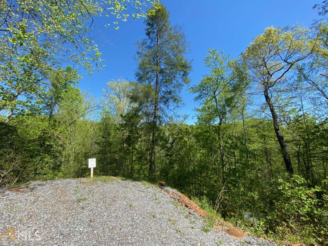 Lot 14 Staurolite Mountain - Photo 1