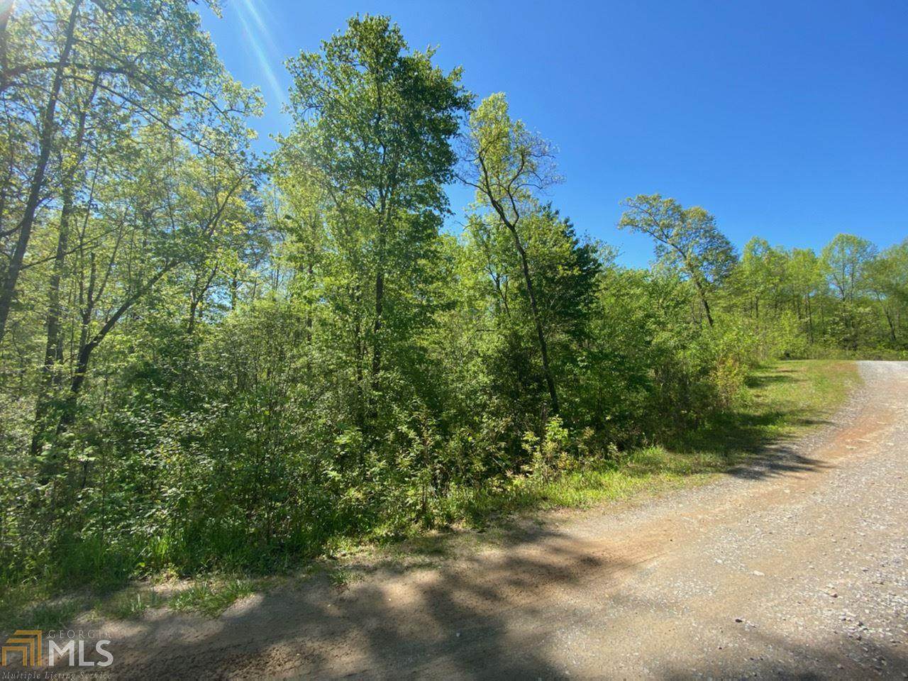 Lot 60 Staurolite Mountain - Photo 1