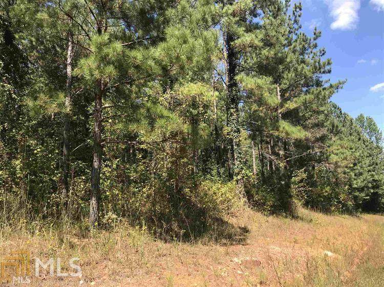 0 Bremen Mt Zion Rd - Photo 1