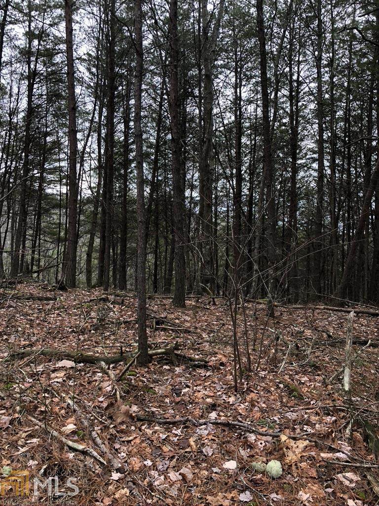 0 Doll Mountain - Photo 1