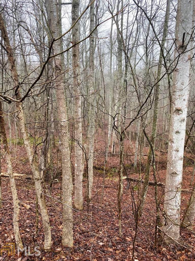 0 Sharp Mountain Pkwy - Photo 1