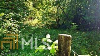0 Conasauga Dr - Photo 1